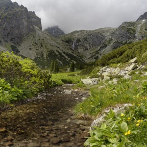 Vysoké Tatry